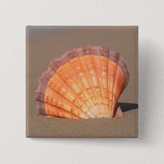 Scallop Shell| Kreta, Griekenland Vierkante Button 5,1 Cm (Voorkant)