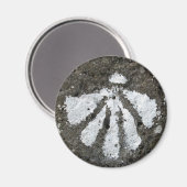 Scallop Shell Magnet (Voorkant / Achterkant)