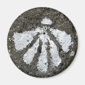 Scallop Shell Magnet (Voorkant)