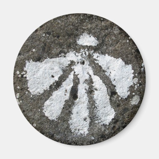 Scallop Shell Magnet (Voorkant)