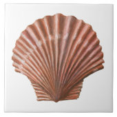 Scallop Shell Tegeltje (Voorkant)