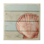 Scallop Shell Tegeltje (Voorkant)