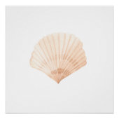 Scallop Shell Waterverf Print Perfect Poster (Voorkant)