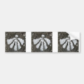 Scallop Shells Bumpersticker (Voorkant)