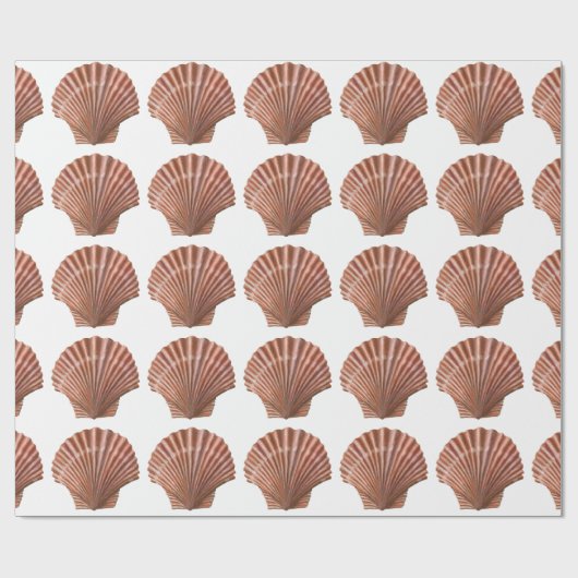 Scallop Shells Cadeaupapier (Vlak)