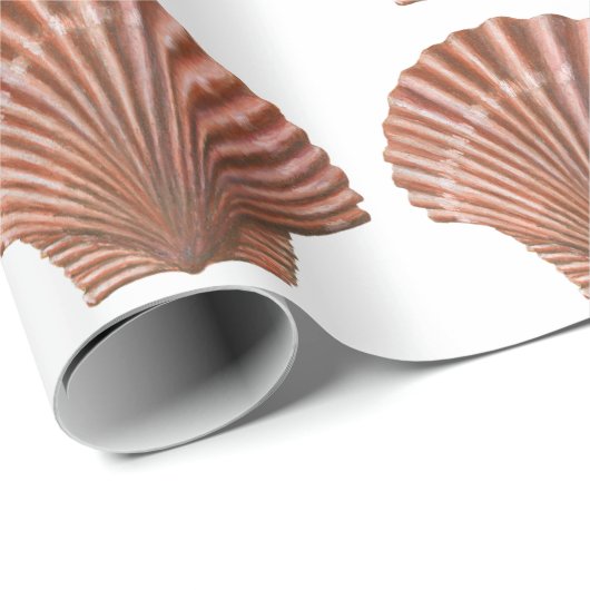 Scallop Shells Cadeaupapier (Rol Hoek)