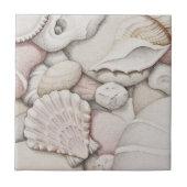 Scallop & Tibia Shells and Pebbles Ceramic Tile Tegeltje (Voorkant)