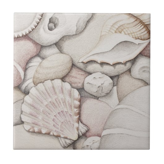 Scallop & Tibia Shells and Pebbles Ceramic Tile Tegeltje (Voorkant)