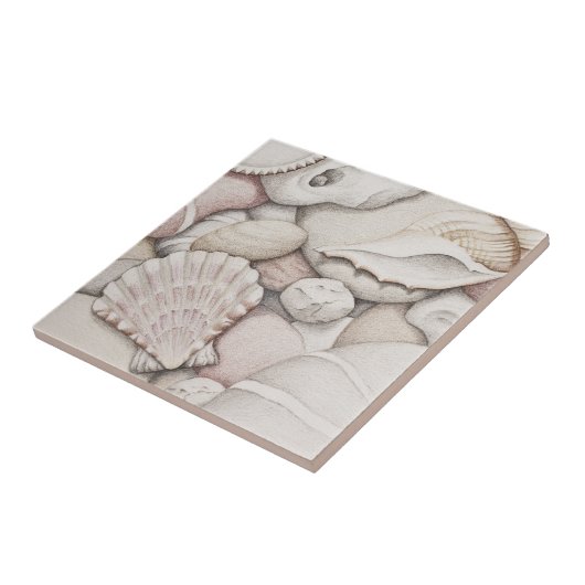 Scallop & Tibia Shells and Pebbles Ceramic Tile Tegeltje (Zijkant)