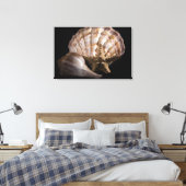 Scallop, Welk, Zee Star Canvas Afdruk (Insitu (Slaapkamer))