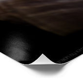 Scallop, Welk, Zee Star Perfect Poster (Hoek)