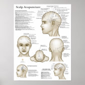 Scalp Head Acupuncture Points Poster (Voorkant)