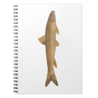 Scaly Osman Notitieboek