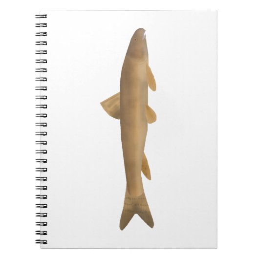 Scaly Osman Notitieboek (Voorkant)