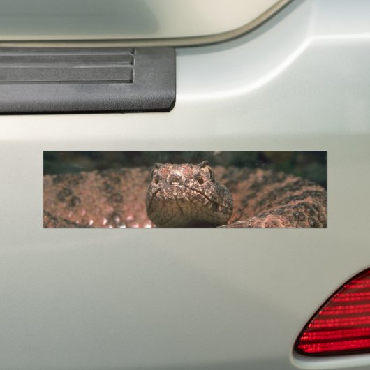 Scaly Scare Bumpersticker (Op auto)