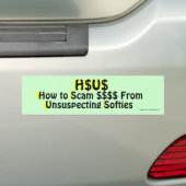 Scam Bumpersticker (Op auto)