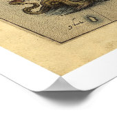 Scandanavische kaart van Ortelius 1570 Poster (Hoek)