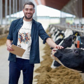 Scandi Farmhouse Cattle, op maat T-shirt