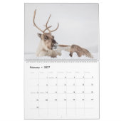 Scandinavië 2026 kalender (Feb 2027)