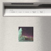 Scandinavië, Finland, Lapland, Kakslauttanen, Magneet (Insitu (Vaatwasser))