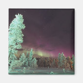 Scandinavië, Finland, Lapland, Kakslauttanen, Magneet (Voorkant)