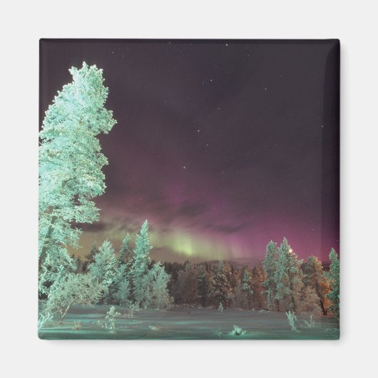 Scandinavië, Finland, Lapland, Kakslauttanen, Magneet (Voorkant)