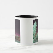 Scandinavië, Finland, Lapland, Kakslauttanen, Mok (Midden)