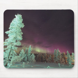 Scandinavië, Finland, Lapland, Kakslauttanen, Muismat