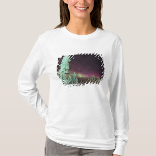 Scandinavië, Finland, Lapland, Kakslauttanen, T-shirt