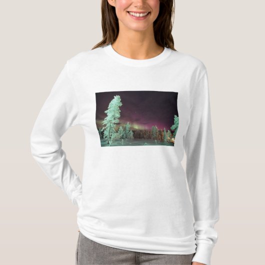 Scandinavië, Finland, Lapland, Kakslauttanen, T-shirt (Voorkant)