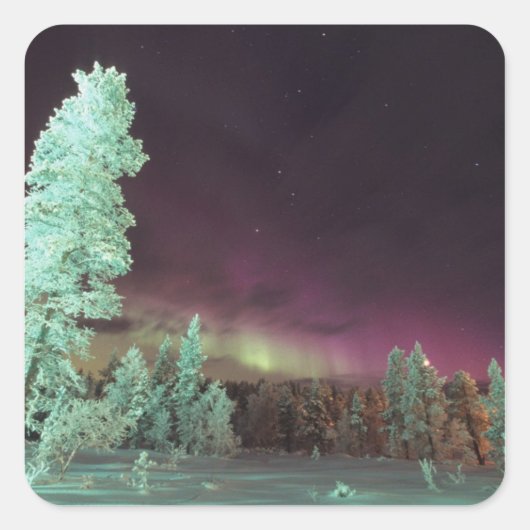 Scandinavië, Finland, Lapland, Kakslauttanen, Vierkante Sticker (Voorkant)