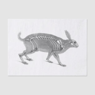 Scandinavische vintage skelet tissuepapier