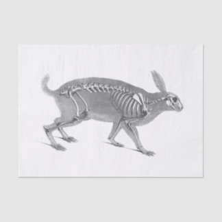 Scandinavische vintage skelet tissuepapier