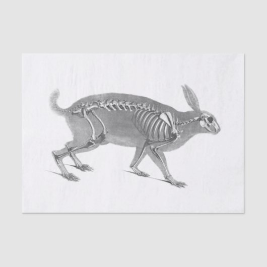 Scandinavische vintage skelet tissuepapier (Voorkant)