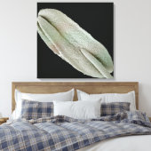 Scanning-elektronenmicroscoop afbeelding van een a canvas afdruk (Insitu (Slaapkamer))