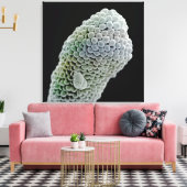 Scanning elektronenmicroscoop afbeelding van stigm canvas afdruk (Insitu (Woonkamer))