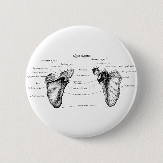 Scapula-gegevens Ronde Button 5,7 Cm (Voorkant)