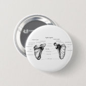 Scapula-gegevens Ronde Button 5,7 Cm (Voorkant /achterkant)
