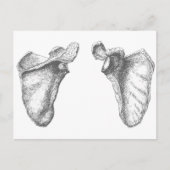 Scapula Gray Briefkaart (Voorkant)