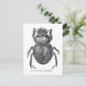 Scarab Beetel  pen en inkttekening Briefkaart (Staand voorkant)