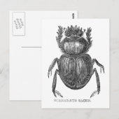 Scarab Beetel  pen en inkttekening Briefkaart (Voorkant / Achterkant)