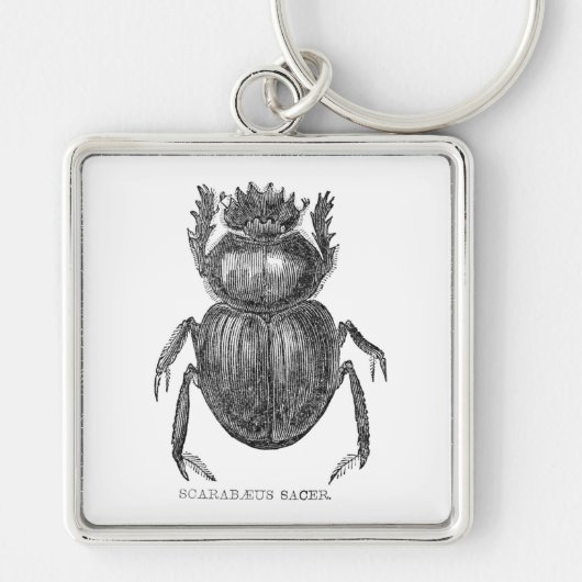 Scarab Beetel  pen en inkttekening Sleutelhanger (Voorkant)