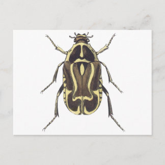 Scarab Beetle Briefkaart