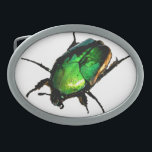 Scarab Beetle Gesp<br><div class="desc">De Egyptische Scarab Beetle is deze zomer met volle kracht uit de bus gekomen. De wilde katten hebben de workshop 's avonds met deze mooie insecten 'geschenk'. Als u dit afbeelding op om het even welke producten Zazzle creëer zou willen zien, te sturen gelieve ons een bericht. Hulp nodig bij...</div>