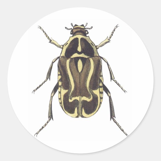 Scarab Beetle Ronde Sticker (Voorkant)