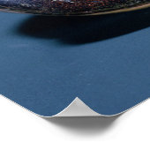 Scarab met Heron uit Tutankhamun Poster (Hoek)