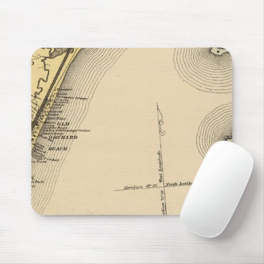 Scarborough, Old Orchard, Saco, Biddeford Muismat (Met muis)