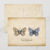 Scarce Large Blue Butterfly Specimen Briefkaart (Voorkant / Achterkant)