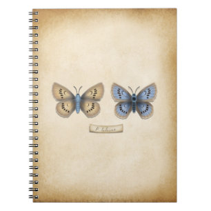 Scarce Large Blue Butterfly Specimen stijl Notitieboek