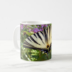 Scarce Swallowtail Butterfly Bug Mok